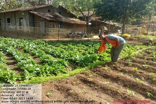 Jalkund based farming in molgi cluster, nandurbar, Maharashtra