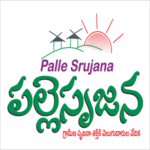 Palle Srujana